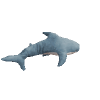 blahaj